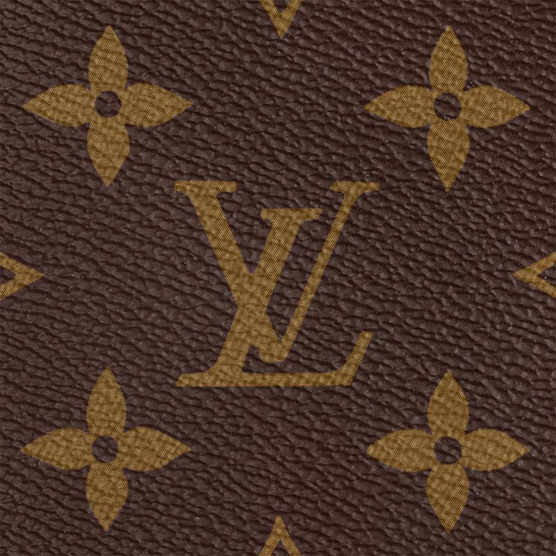 MULTI POCHETTE ACCESSOIRES LOUIS VUITTON